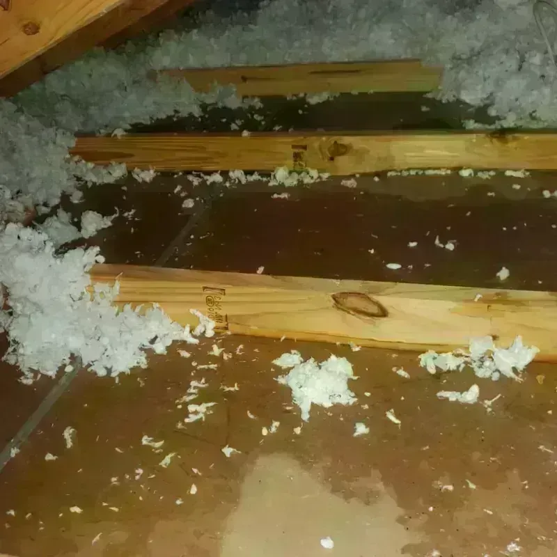 Attic Water Damage in Chillicothe, IL