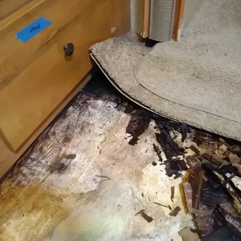 Best Wood Floor Water Damage Service in Chillicothe, IL